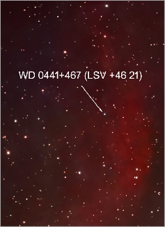 LSV 46 21