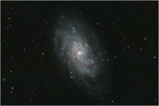 M 33