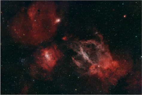 Lobster Claw Final Image.jpg